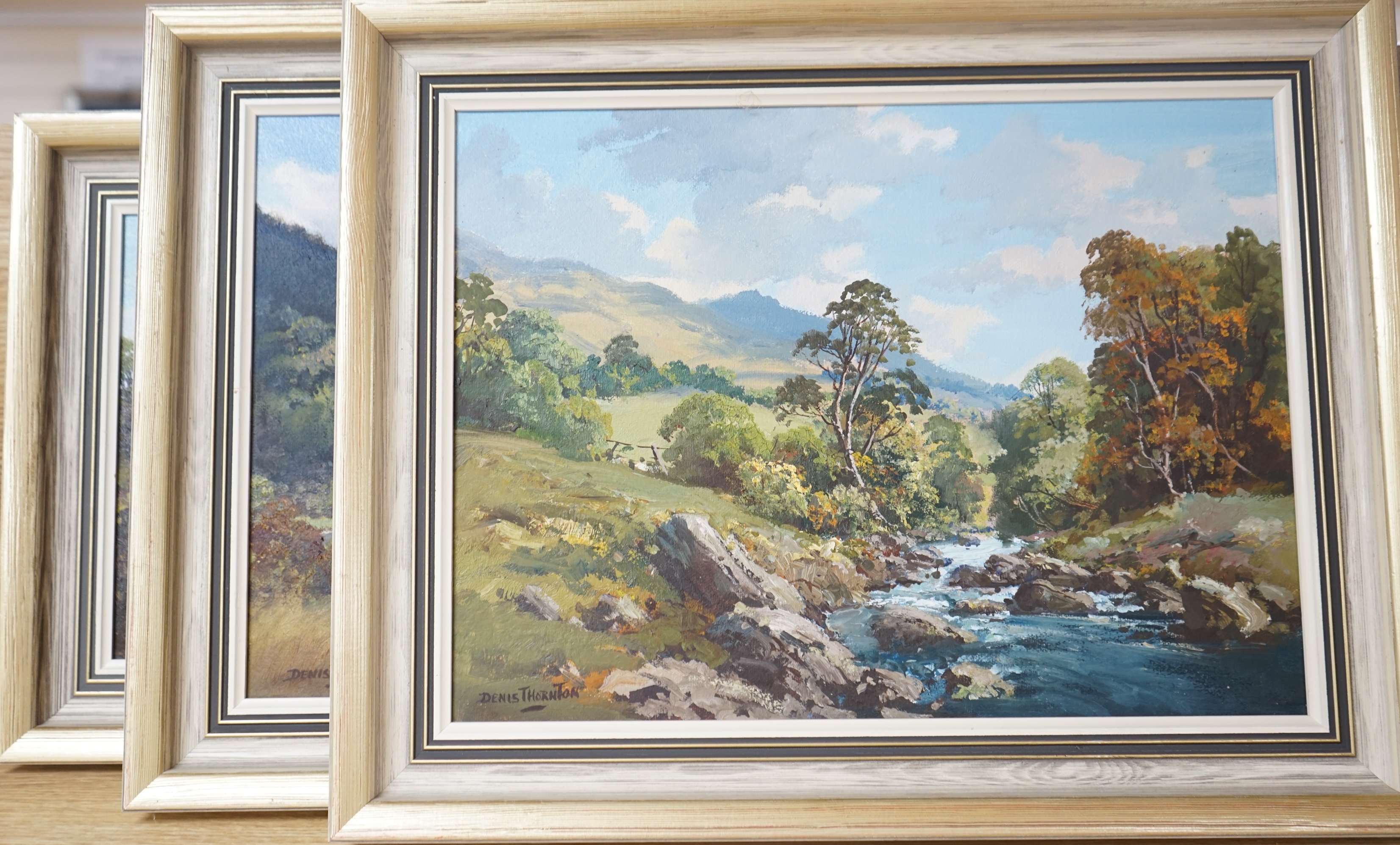 Denis Thornton (Irish, b.1937), three oils on canvas to include, ‘The Dun River, Co. Antrim’ and ‘Glendalough, Co. Wicklow’, each signed, largest 29 x 39cm. Condition - good